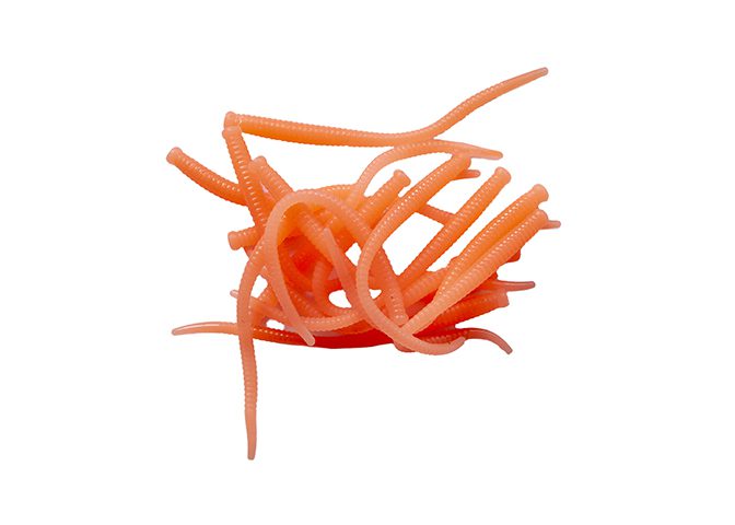 Pautzke’s Fire Worms – product detail