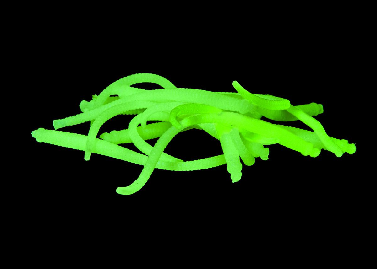 Pautzke’s Fire Worms – product detail