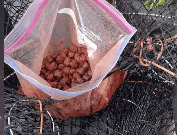 Pautzke’s Crab and Shrimp Fuel – product detail