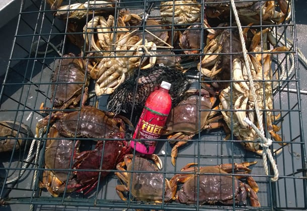 Pautzke’s Crab and Shrimp Fuel – product detail