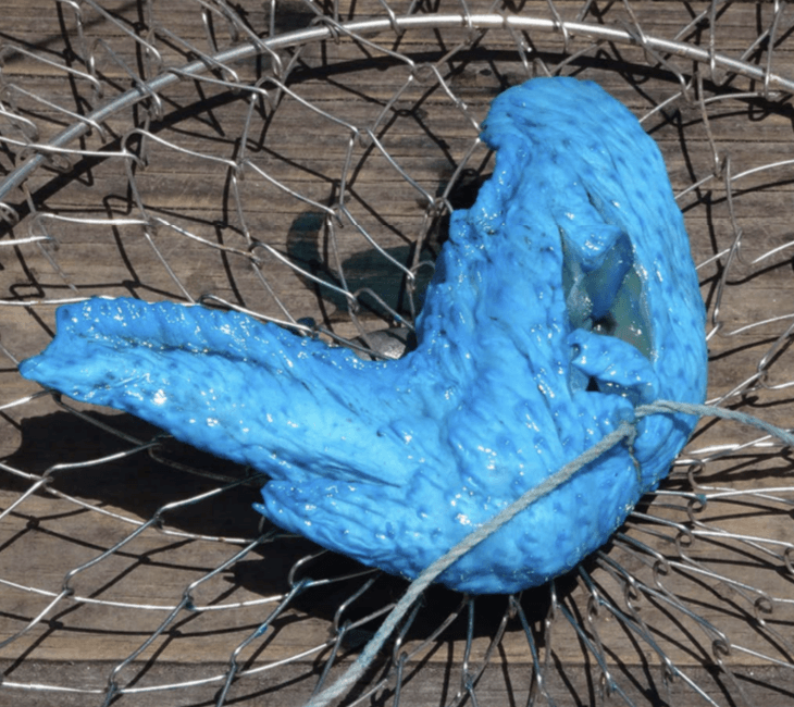 Pautzke’s Blue Crab Fuel – product detail