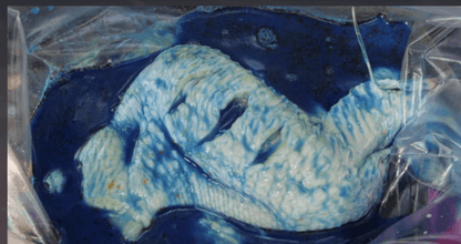 Pautzke’s Blue Crab Fuel – product detail