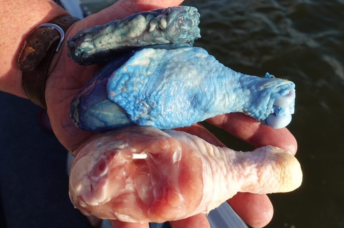 Pautzke’s Blue Crab Fuel – product detail
