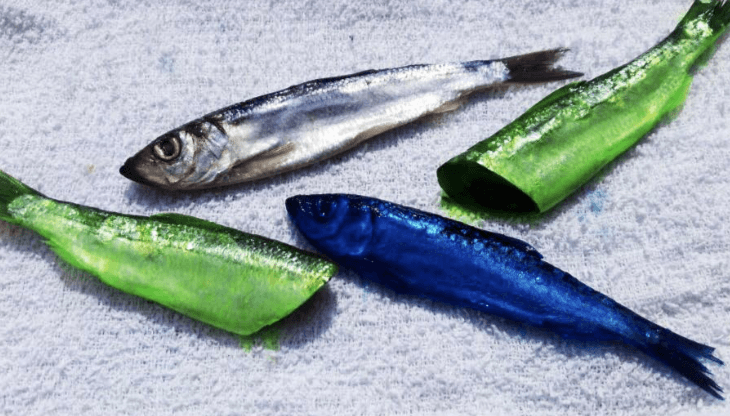 Pautzke’s Fire Brine – product detail