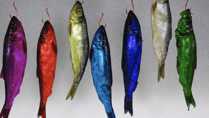 Pautzke’s Fire Brine – product detail