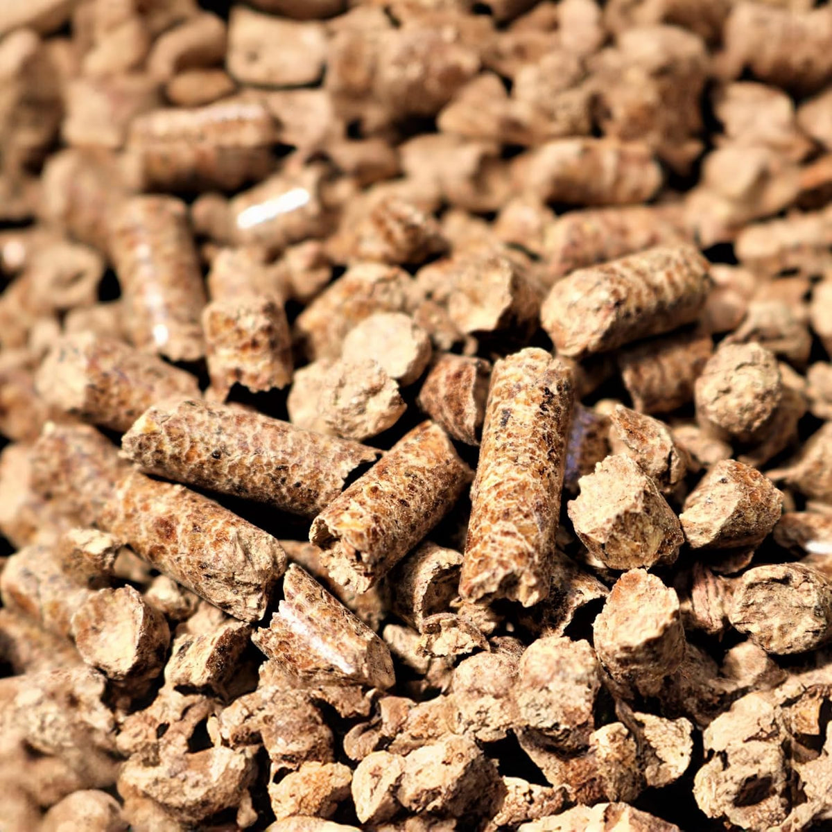 Bear Mountain — Apple hardwood pellets, close-up